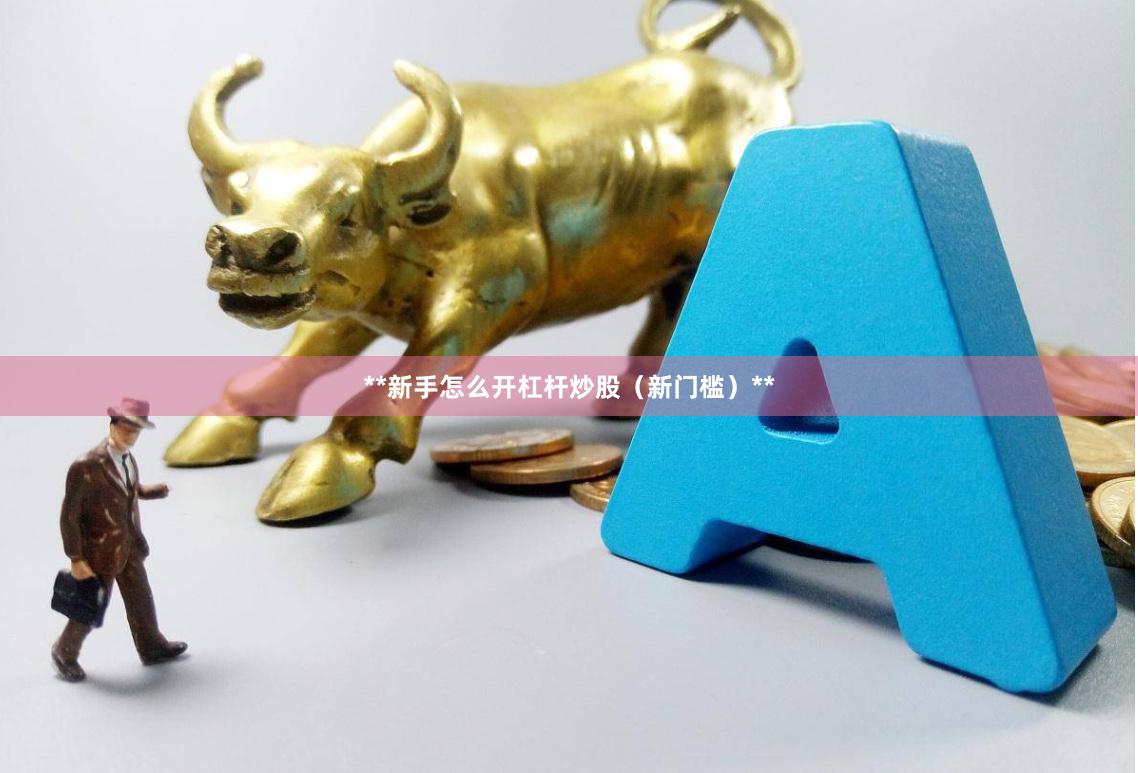 **新手怎么开杠杆炒股（新门槛）**