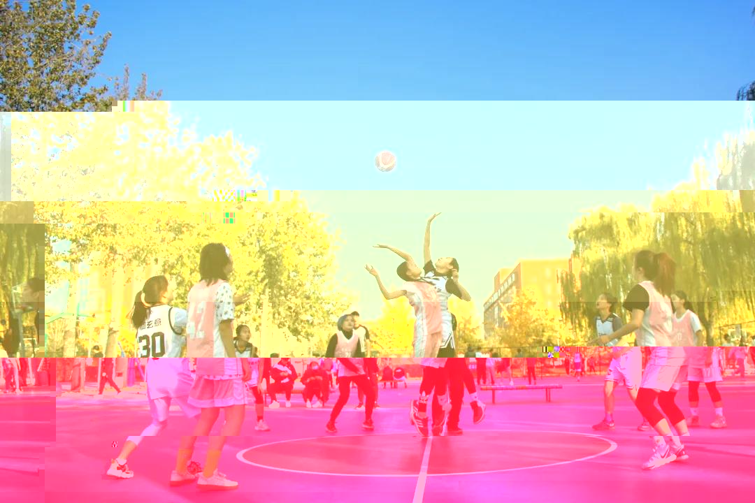 6ed243afa418463db1e8cd3a08244ce0.jpg