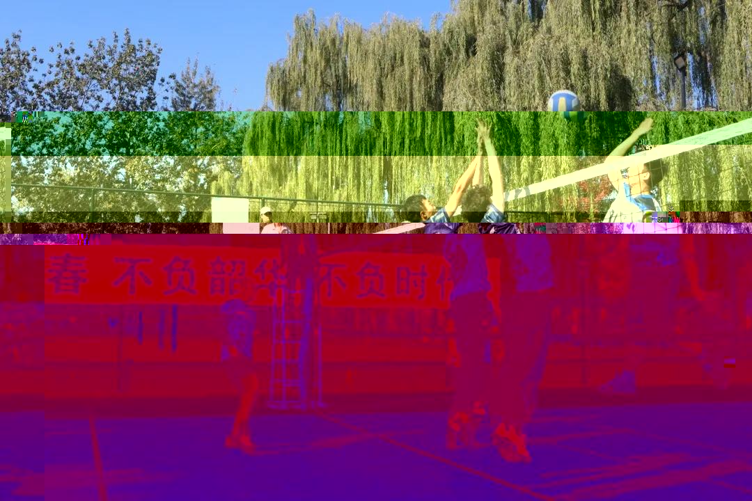 781d6f3aa3c44172b736a094bfe298b2.jpg