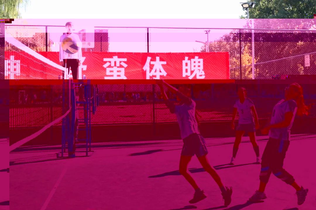 bc765efa847f43438c5d881844622b8d.jpg