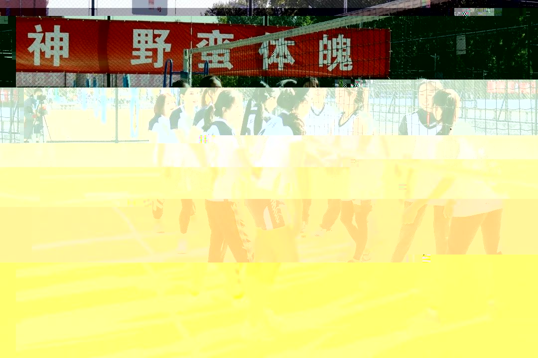 d06cbfdcb3e840c183f3bc0458aea338.jpg