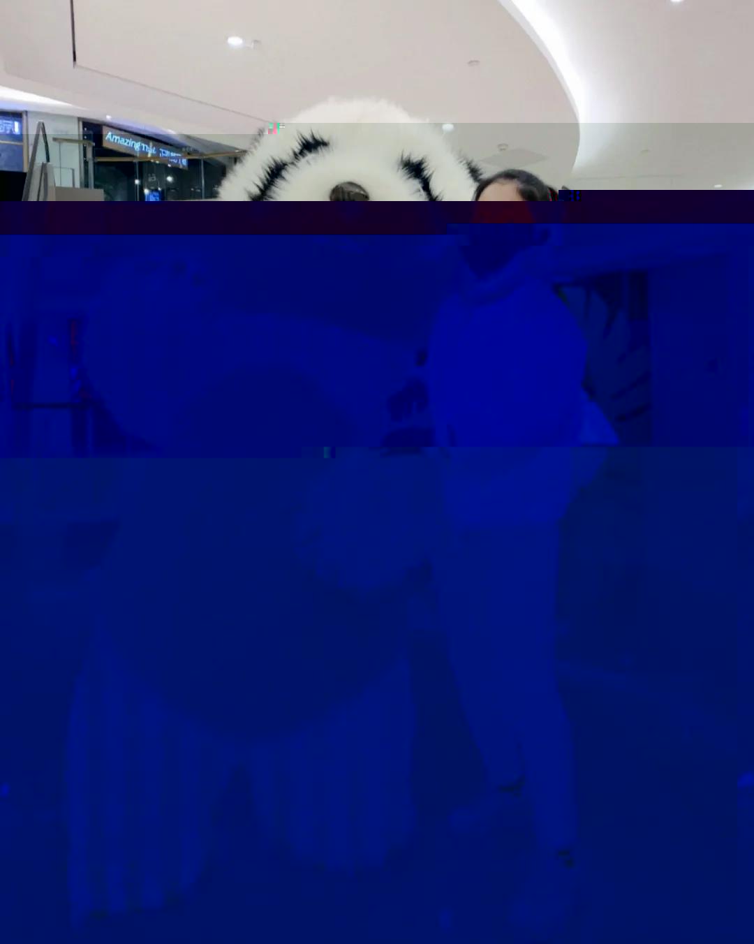 5fa5304048b845258e729fcd24b3ceaf.jpg