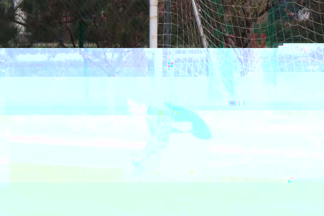 fc3901c6b99a472fa4e7741be92699d7.jpg
